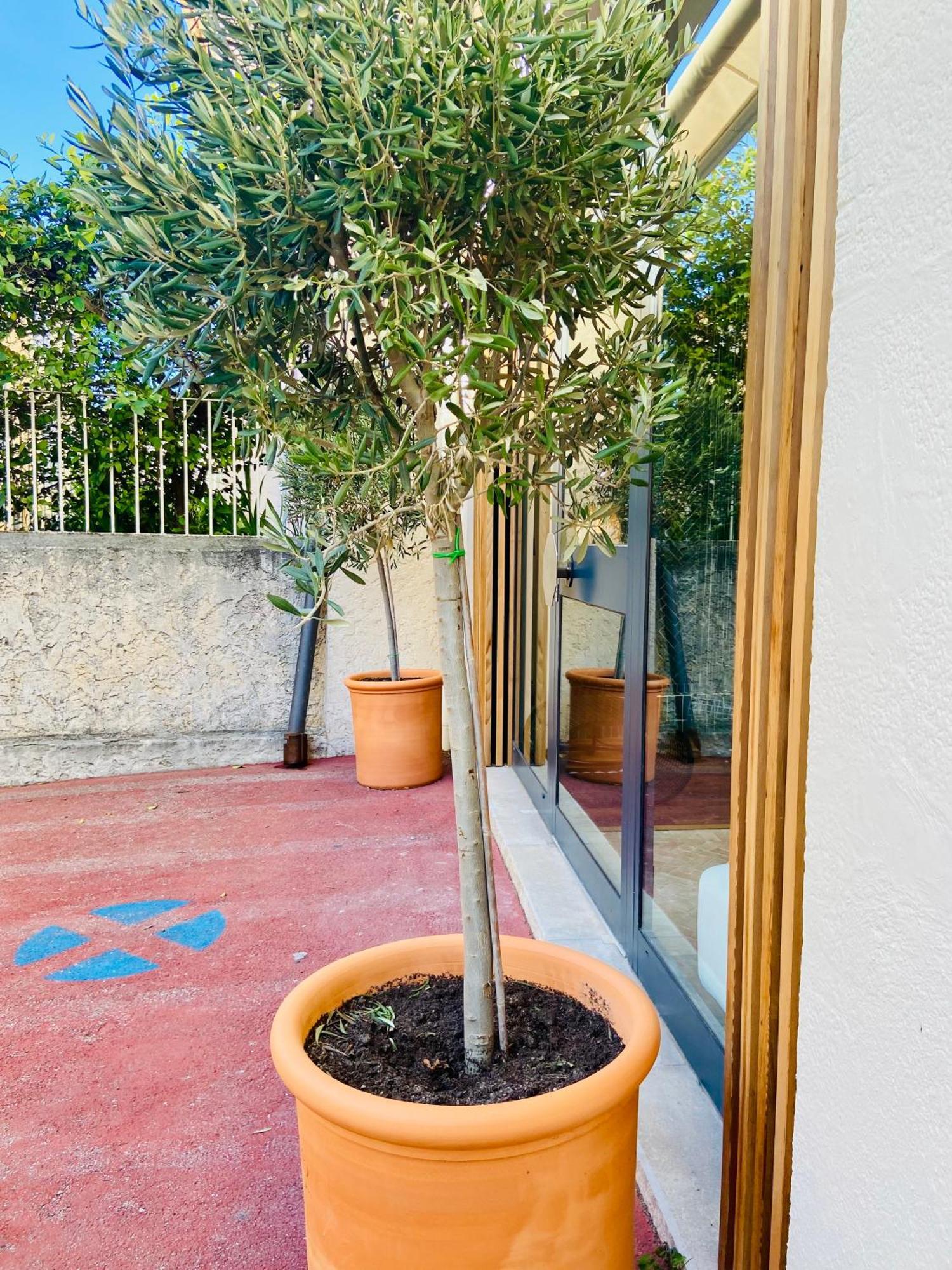 Cassis Grande Terrasse Emplacement Au Top A 1 Minute De La Plage A Pieds Exterior foto